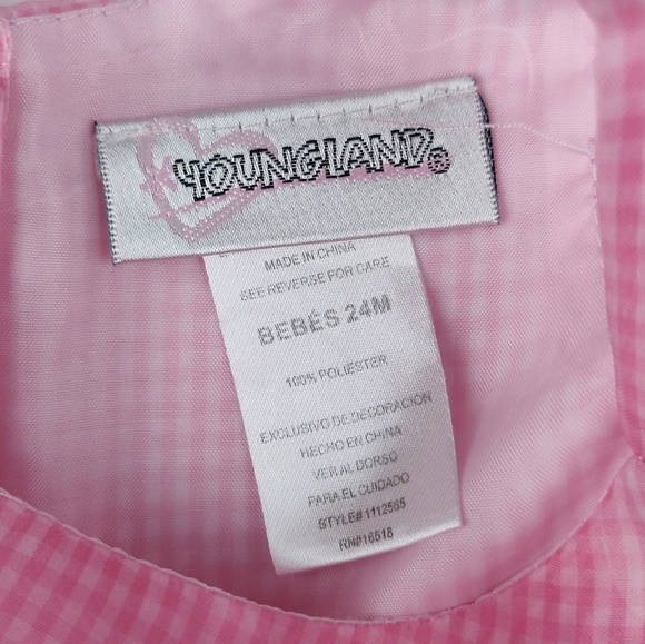 Pretty in Pink gingham satin tulle toddler dress - Picture 6 of 7
